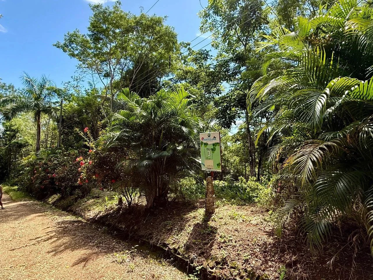 Suenos Montezuma: Jungle lot, but in a gated community close to Cobano and Montezuma.  Shopping in one direction, and surf town in the other.  "Suenos Montezuma"   5000m2, Lot #3  $250,000. USD - Gallery image 8