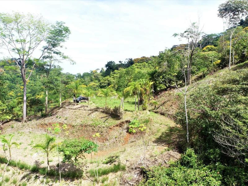 Captivating 3.15-Acre Property: Huge Pricedrop! Firesale Oceanview Lot in Tres Rios - Gallery image 17
