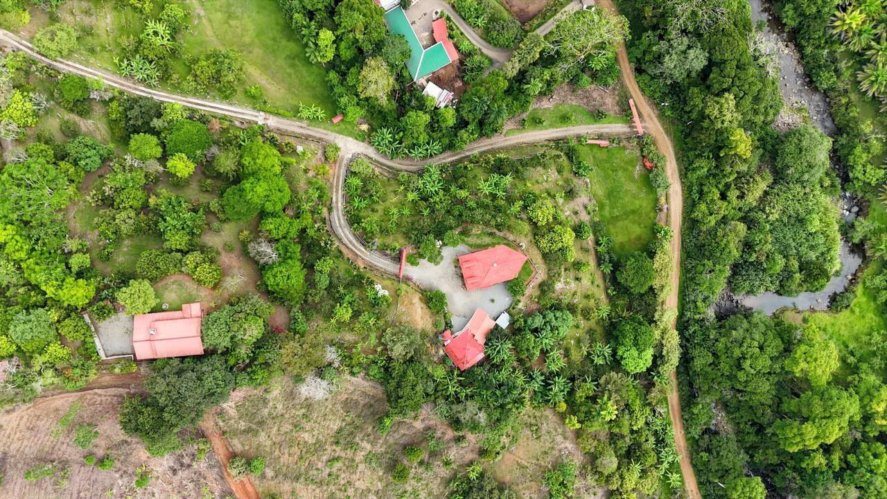 Charming Hardwood Cabin with Fruit Garden Near San Isidro - Gallery image 3