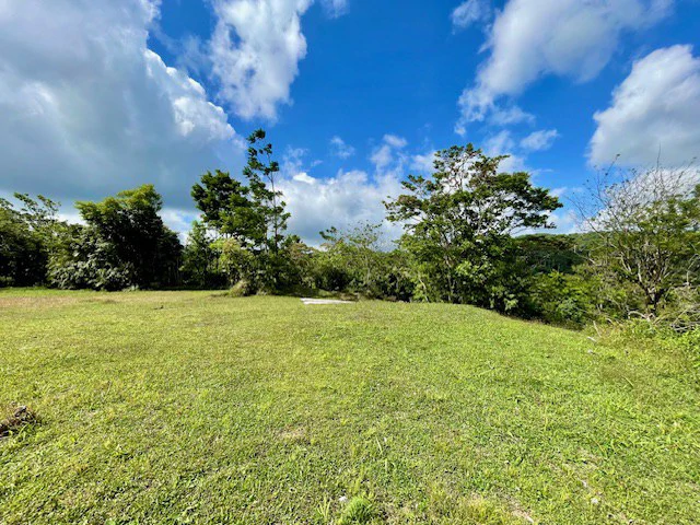 LG-002 Terreno Top Nuevo Arenal: Premium 1.45-Acre Gated Homesite in Nuevo Arenal | Panoramic Lake & Volcano Views, Private Boat Dock & Clubhouse - Gallery image 9