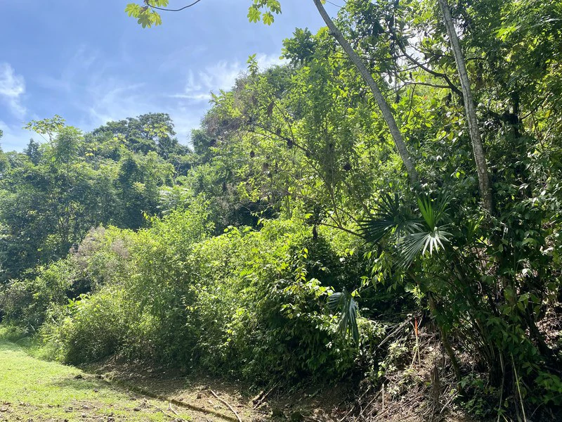 Exquisite Jungle property with Ocean View | Gated Community in Ojochal - Gallery image 6