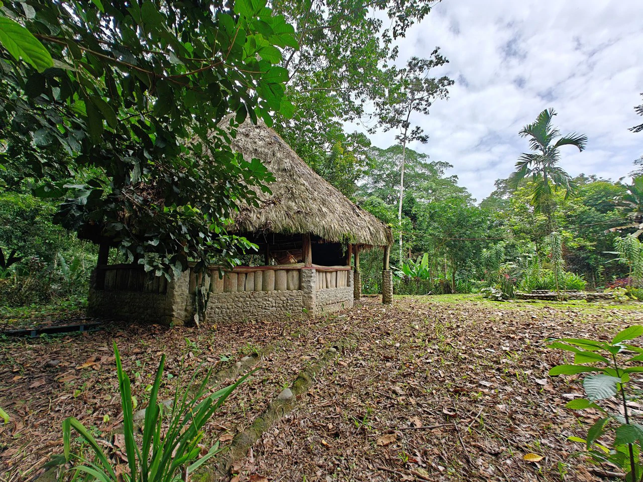 Mountain-Edge Sanctuary with Private Waterfall: 3 Titled Jungle Lots with Platforms, Waterfall, and Income Potential - Gallery image 6
