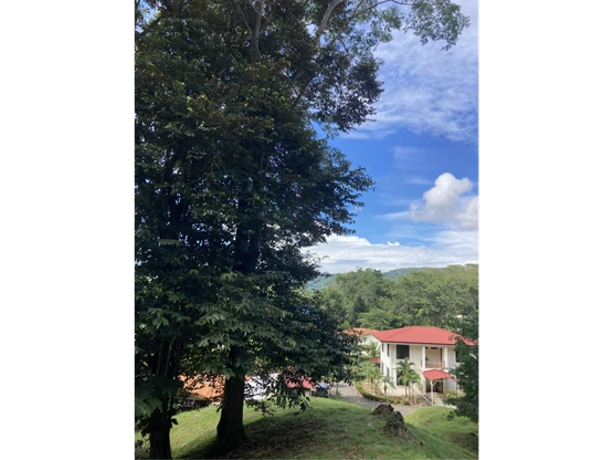 Venta de una hectárea con vivienda principal en Herradura: ¡Your Own Paradise in Herradura, Costa Rica! - Gallery image 30