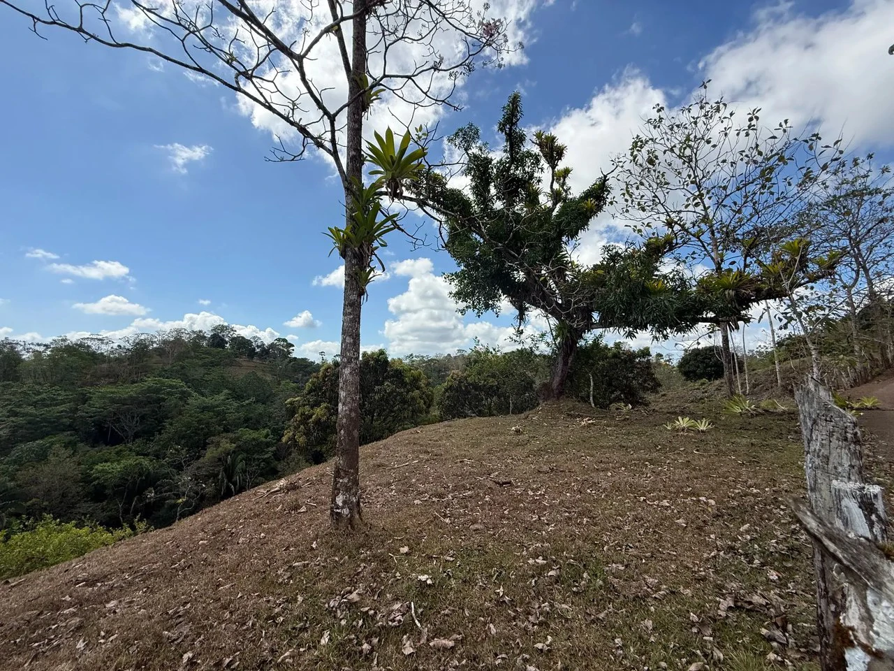 11.4 Hectare Mountain Estate: Lush Forest, River & Farm Potential in Arenal Puriscal , San Jose - Gallery image 6