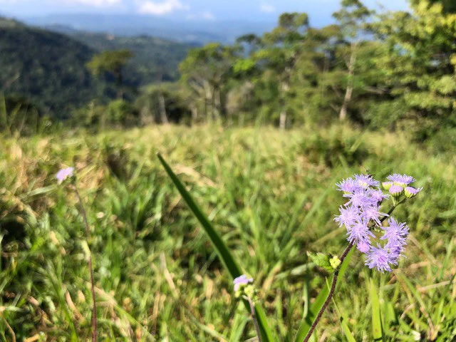 1.24 ACRES – Alto de San Juan, TOP OF THE WORLD VIEWS, Cool Breezes, Ready to Build Your Dream!!!!!: Mountain Development Parcel For Sale in Alto San Juan - Gallery image 9