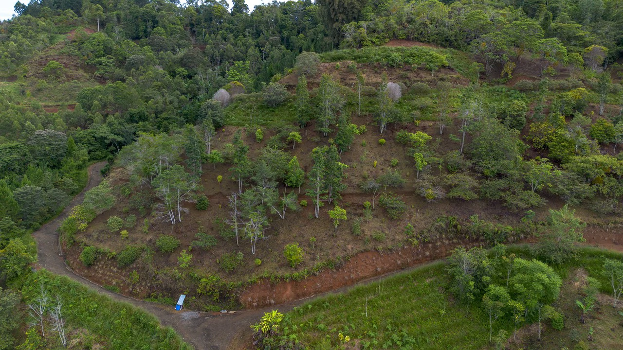 10.21 Acres with Views & Plantels – Pérez Zeledón - Gallery image 8