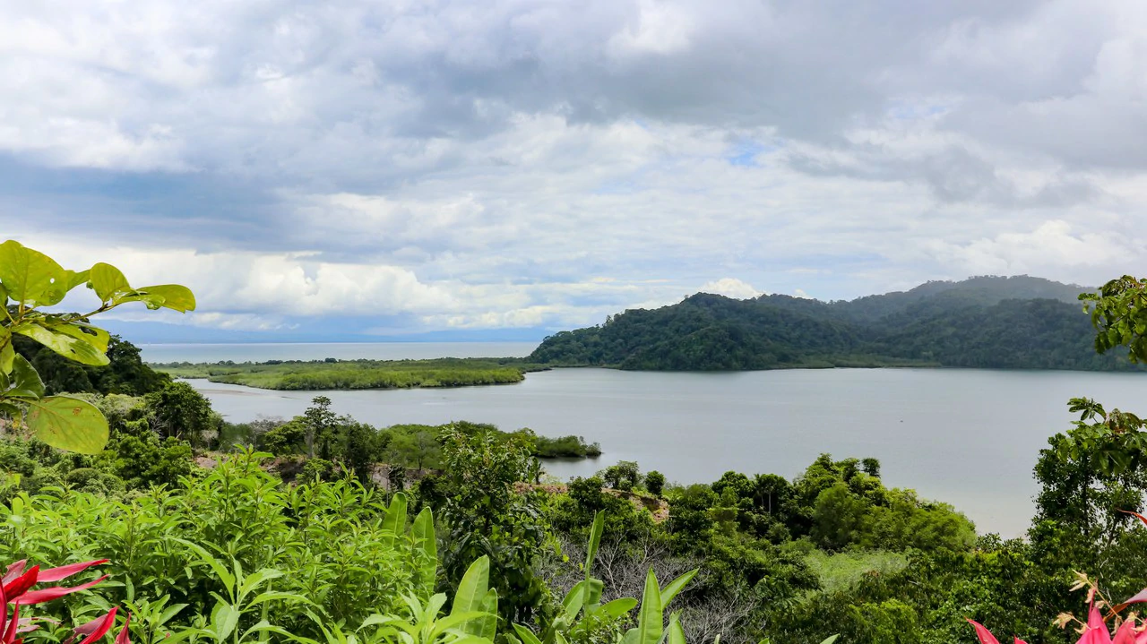 Unique Development Property Overlooking the Pristine Golfito Bay and Golfo Dulce - Gallery image 42