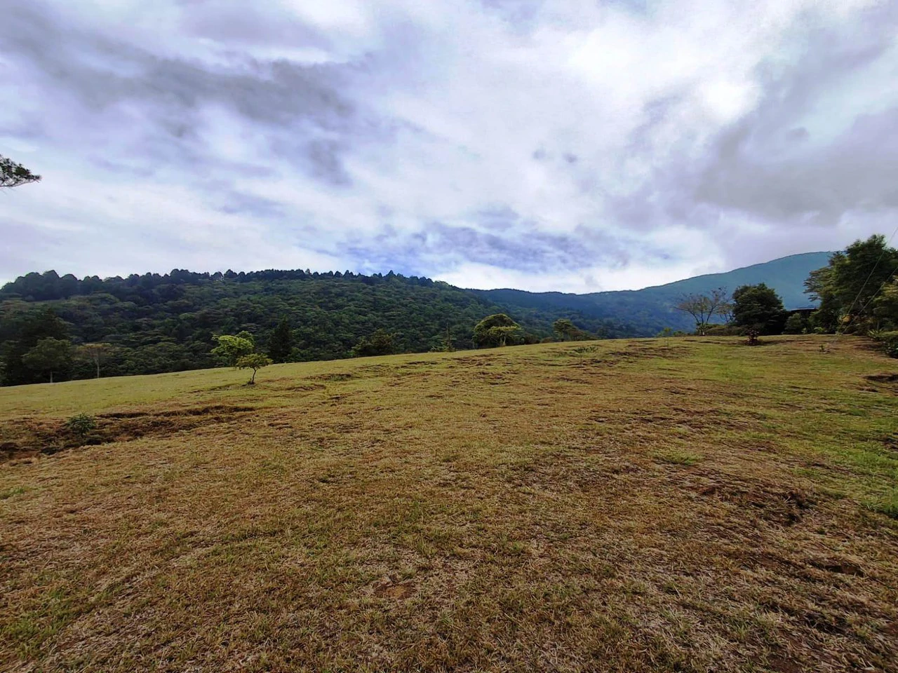Mountaintop Canvas!: 31,000m2 - Entrepreneur's Dream Property! - Gallery image 9