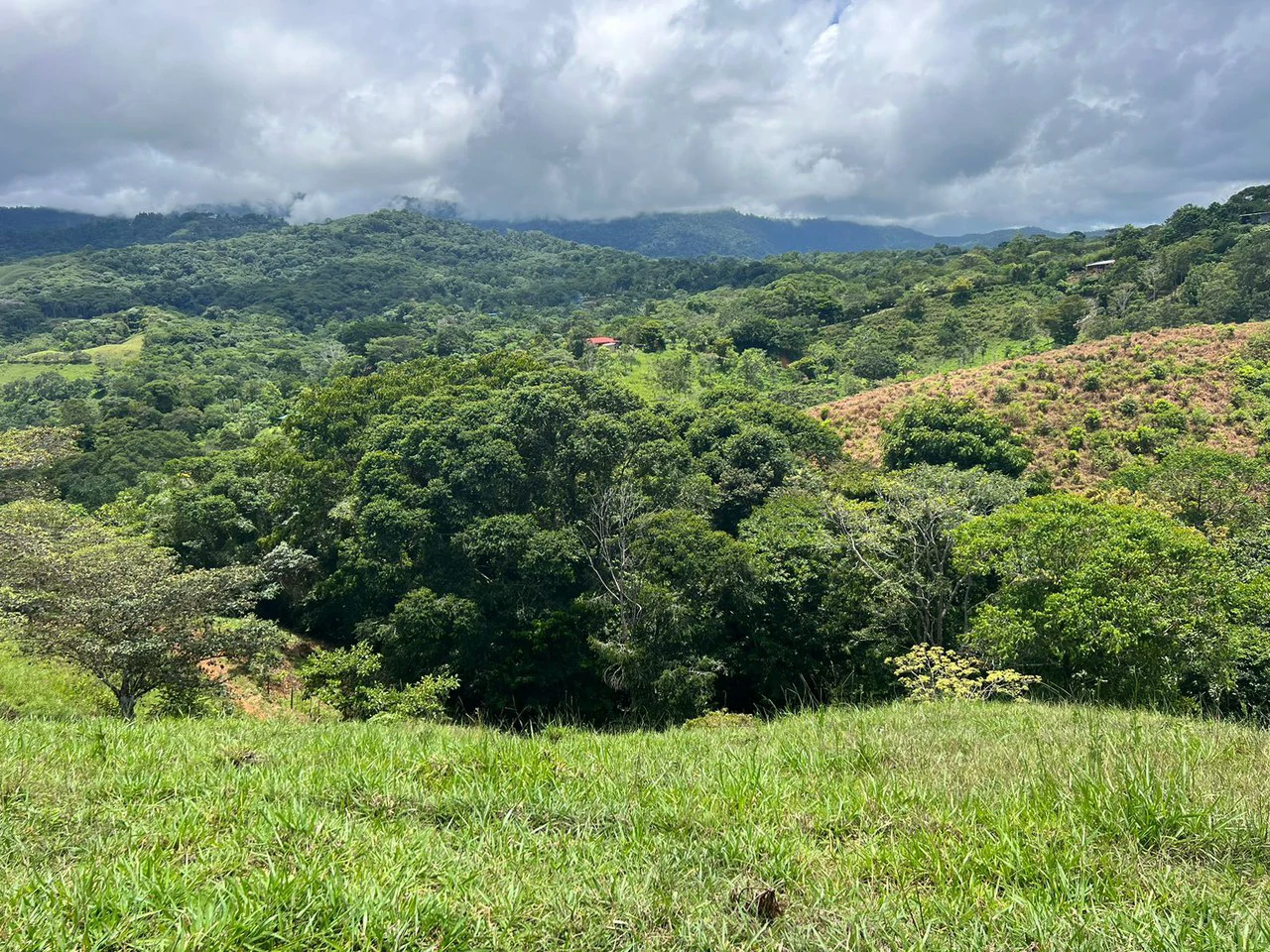 47 ACRES – Beautiful Mountain View Farm With Many Water Sources and Many Building Areas!!!! - Gallery image 21