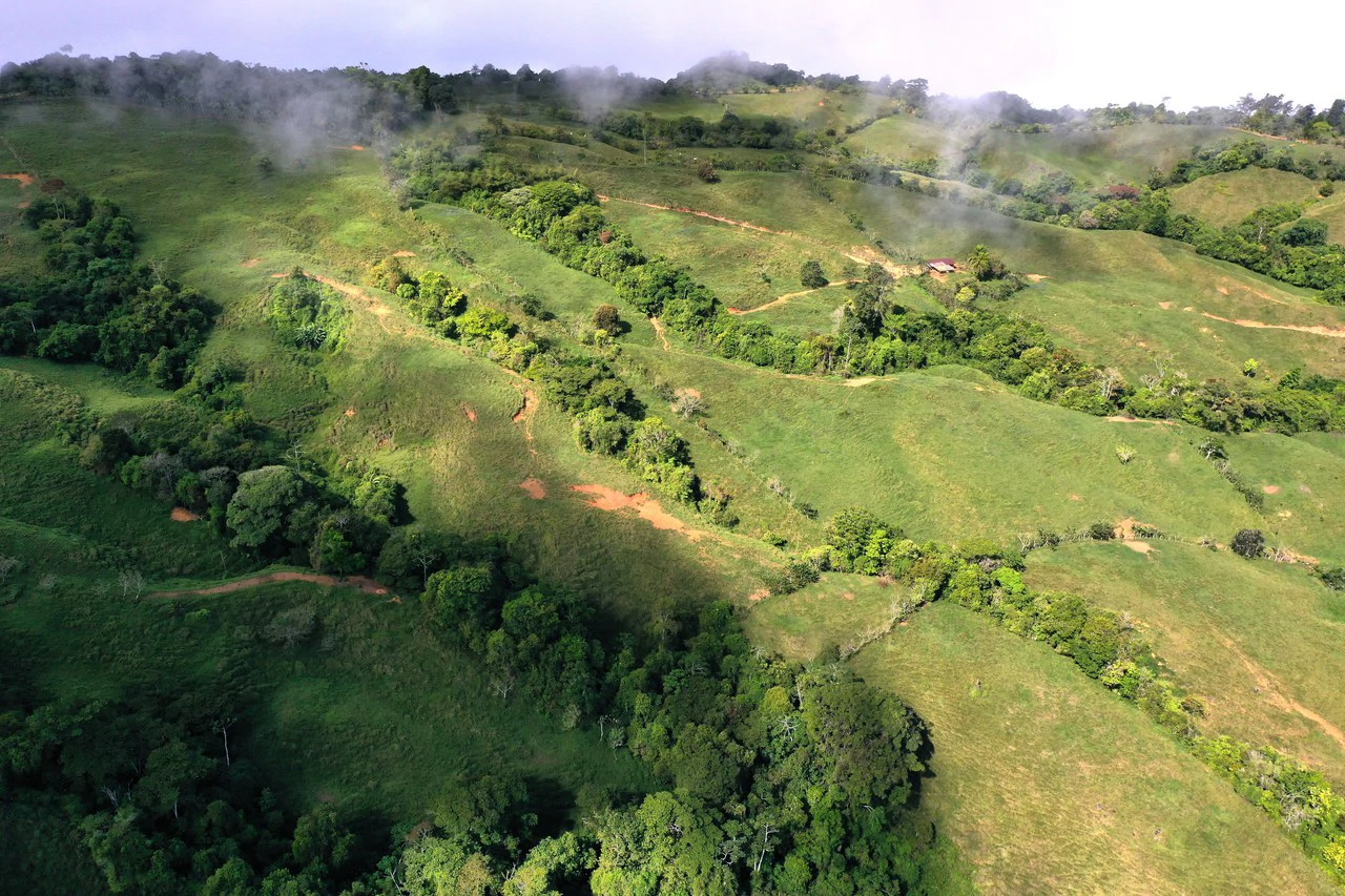 150 Acre Cattle Ranch with Panoramic Views Above the mountains of Uvita - Gallery image 4