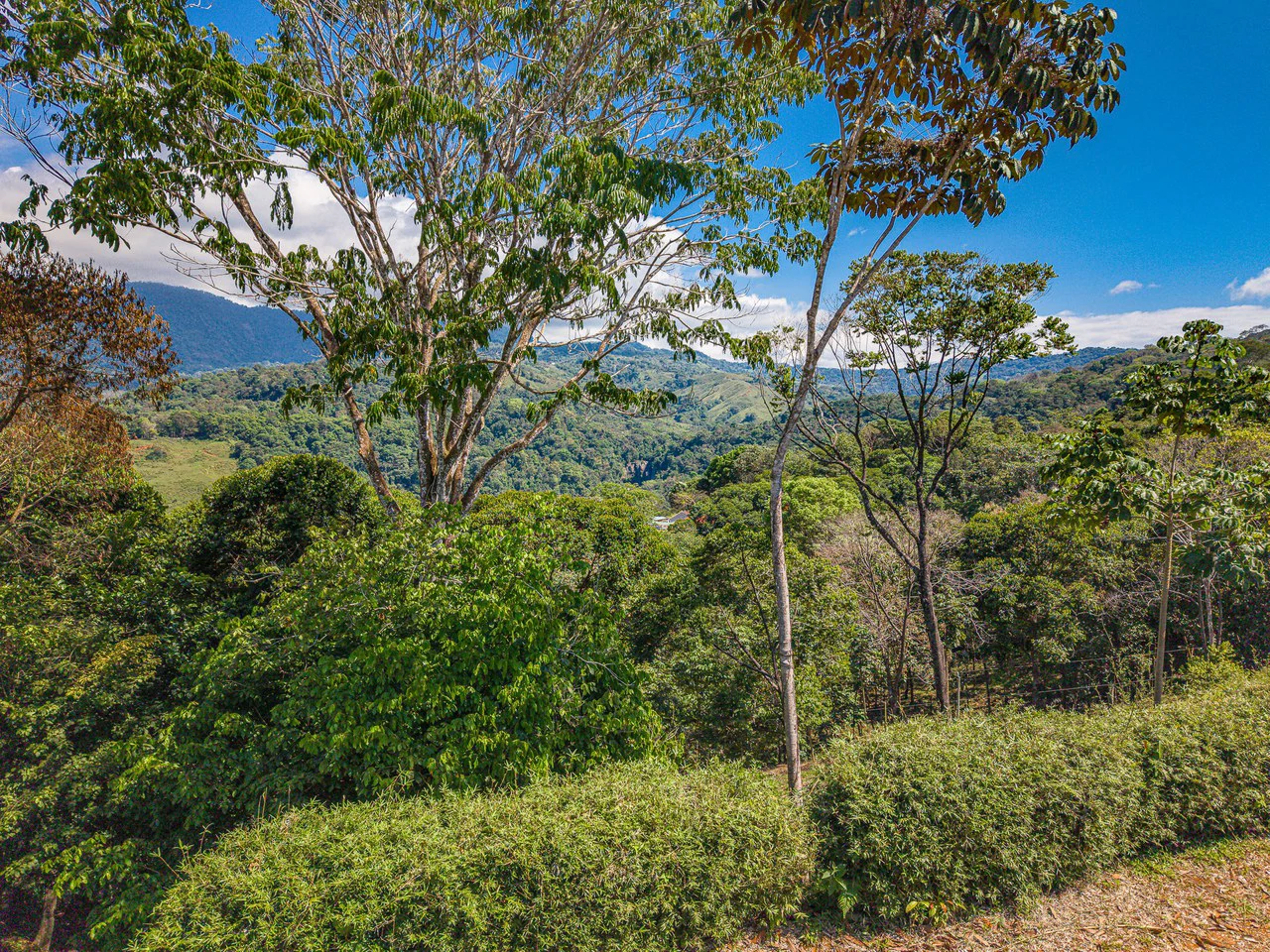 3 Acre Waterfall View Estate Parcel Playa Dominical - Gallery image 14