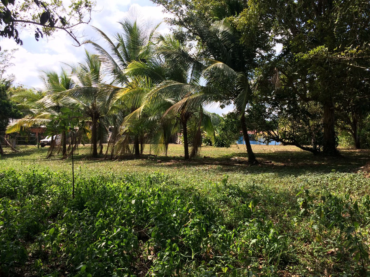 Propiedad grande: Countryside Home Construction Site For Sale in Caño Negro - Gallery image 10