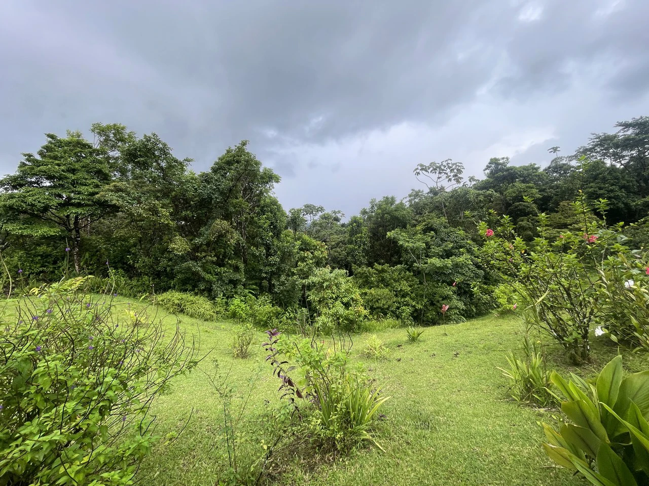 Magnificent 65-acre (26-hectare) estate, featuring a canopy tour, two homes, horses, walking trails, and 14 build-ready platforms. - Gallery image 4