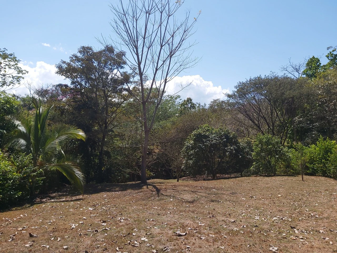 Countryside and Mountain Home Construction Site For Sale in San Juan de Mata - Gallery image 19