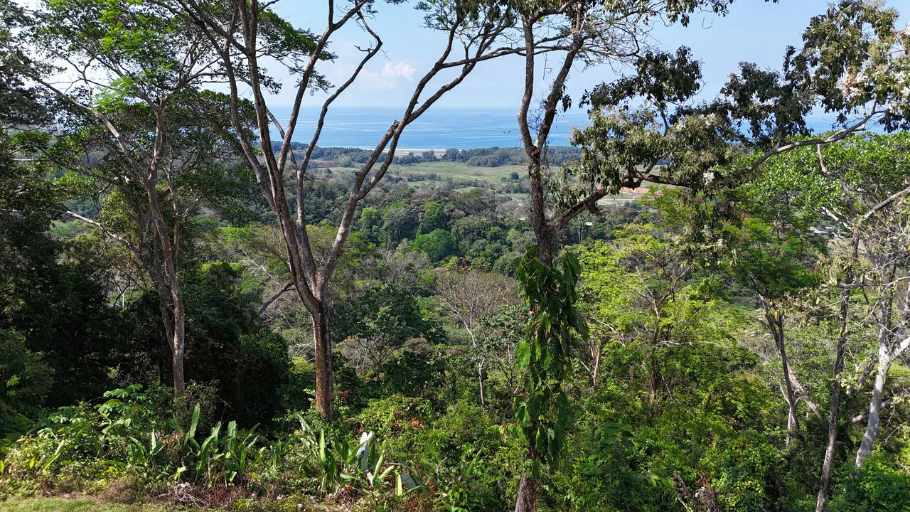 The Crown Jewel Ocean View Lot Hatillo - Gallery image 10