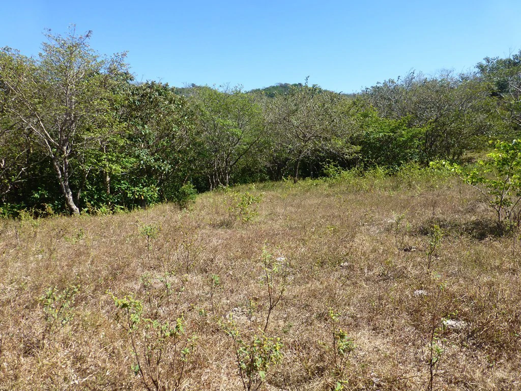 Ocean view farm for sale in the mountains of San Juanillo - Gallery image 3