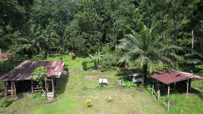 Ocean View & Primary forest 55-ha Rincon de Osa - Gallery image 15