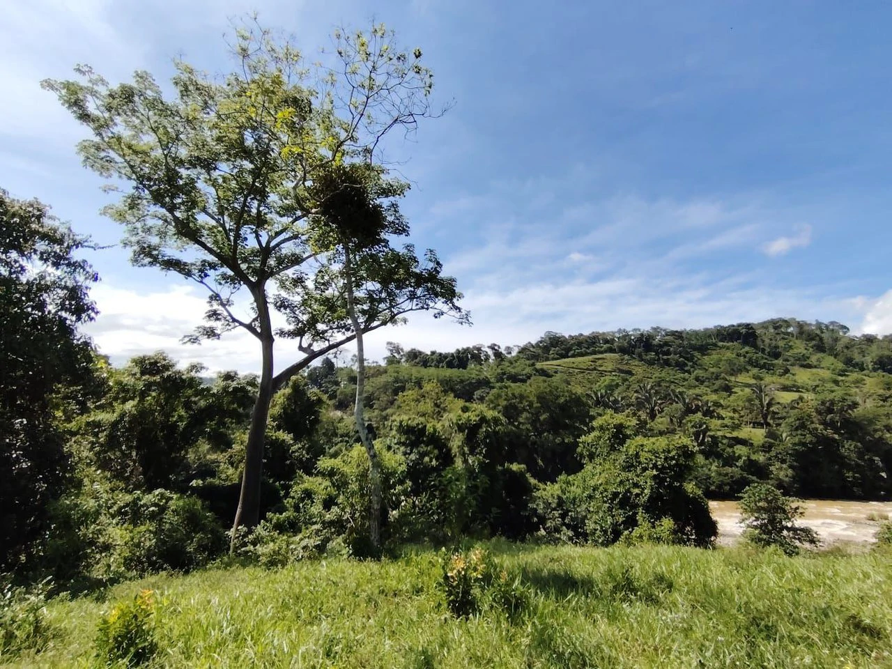 SE VENDE PROPIEDAD EN CAJÓN, COSTA RICA.: Mountain Home Construction Site For Sale in Cajón - Gallery image 13