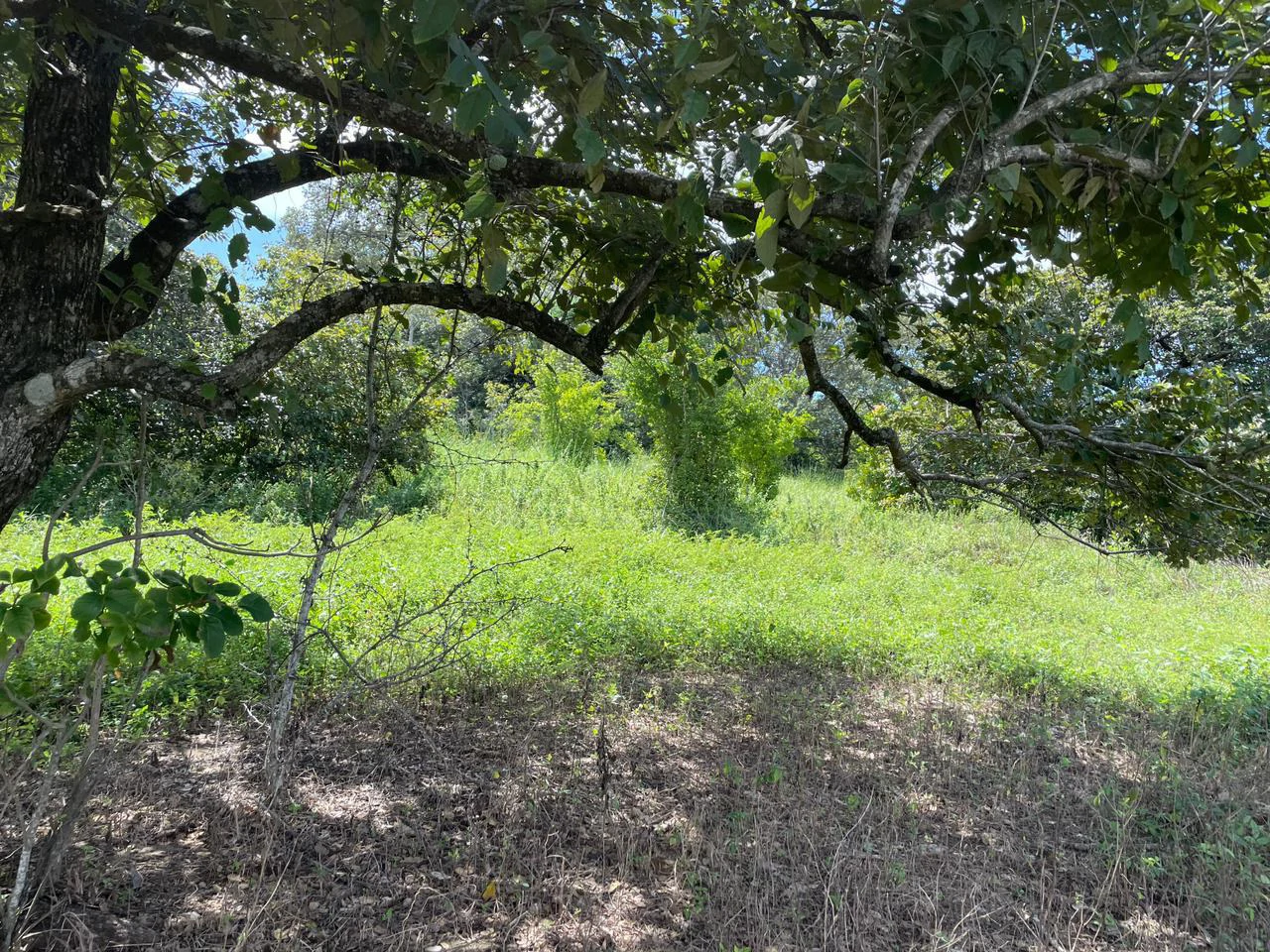 Airport Liberia Top commercial location huge property for sale - Gallery image 30