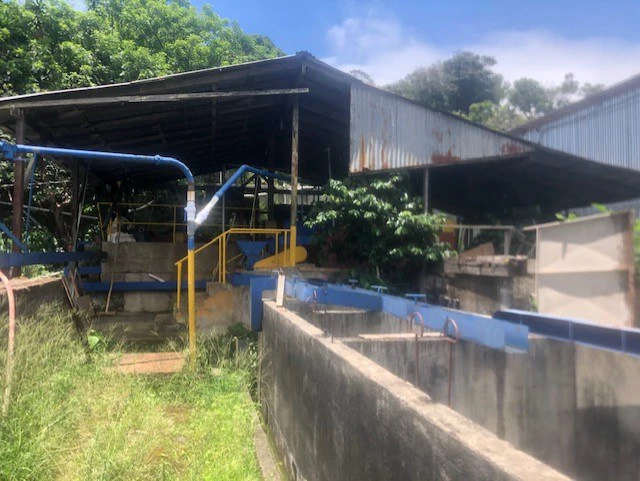 Coffee Farm in Monteverde is a full working Business - Gallery image 14