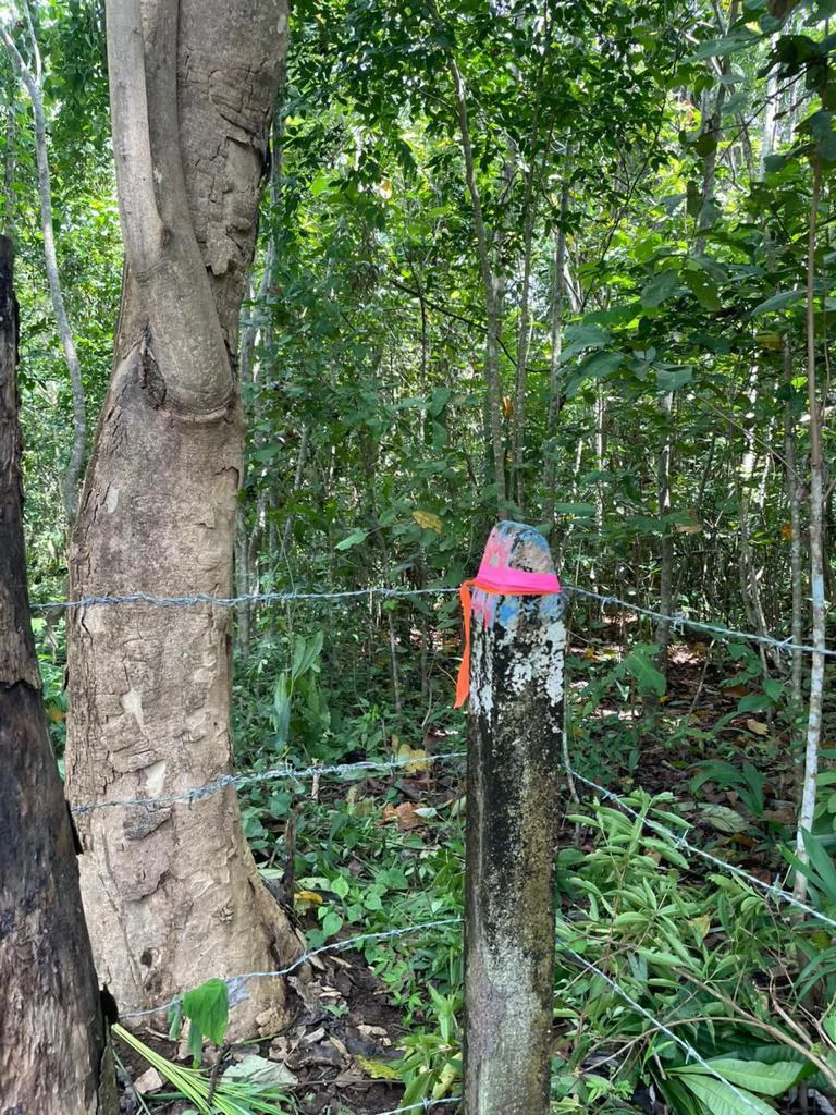 Beach Lot #2: 2,263 m2 Nicoya Blue Zone lot - Gallery image 2