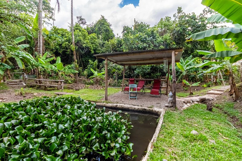 Casa San Pedrito: Beautiful house for sale in San Pedrito,(1,3hect) Perez Zeledon - Gallery image 4