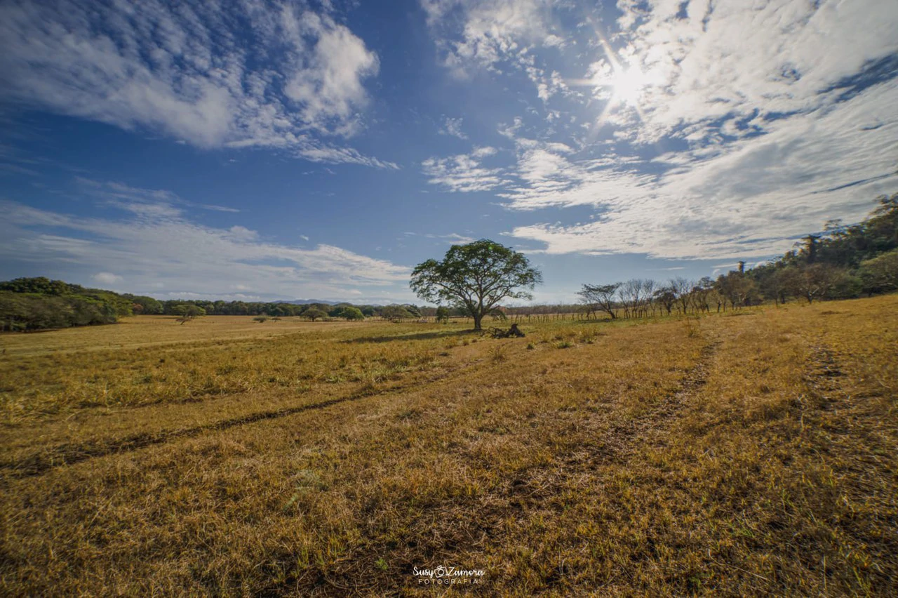 Land for Sale Lepanto Puntarenas overlooking the Gulf Costa Rica - Gallery image 13