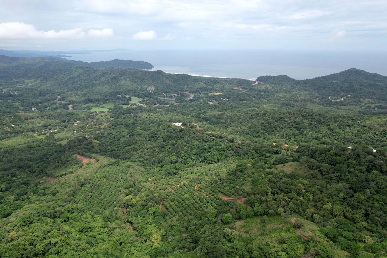 Lotes Paraíso: Spectacular Ocean and Mountain View 5.77 acres Development Land - Gallery image 5