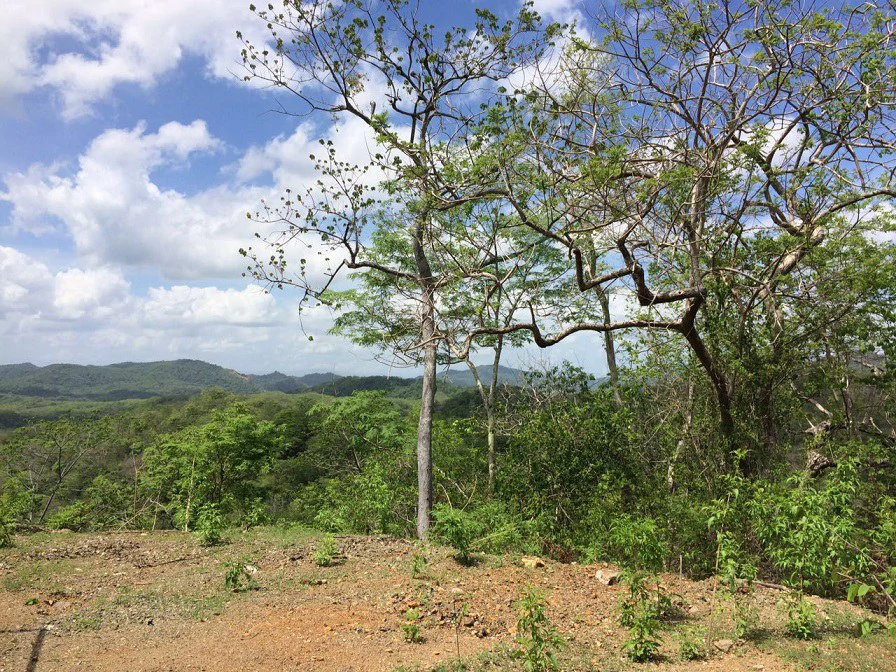 GRAN OPORTUNIDAD: GREAT OPPORTUNITY. Property of 48.3 hectares adjacent to the Hotel Riu - Gallery image 10