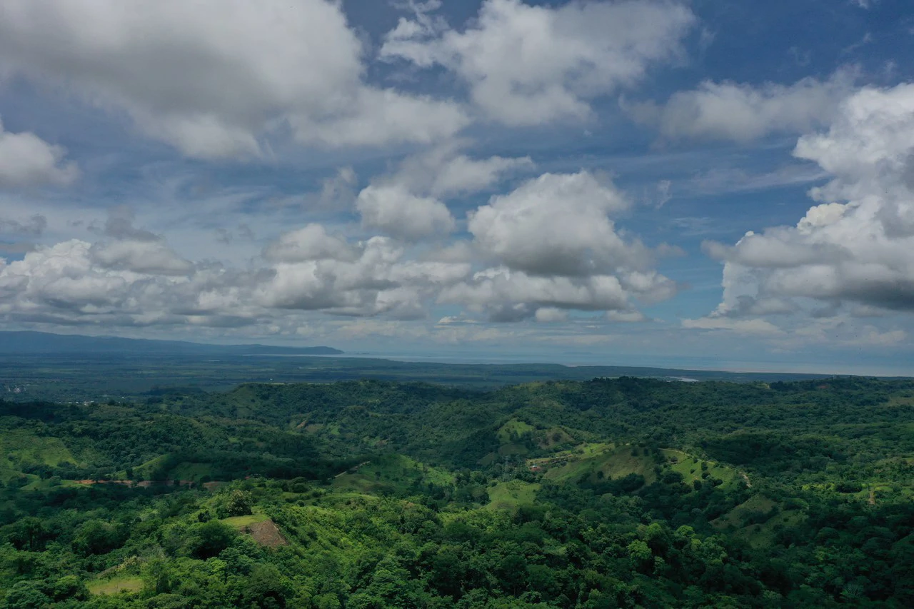 137 Acre Ocean View Farm with Riverfront in Southern Costa Rica - Gallery image 21