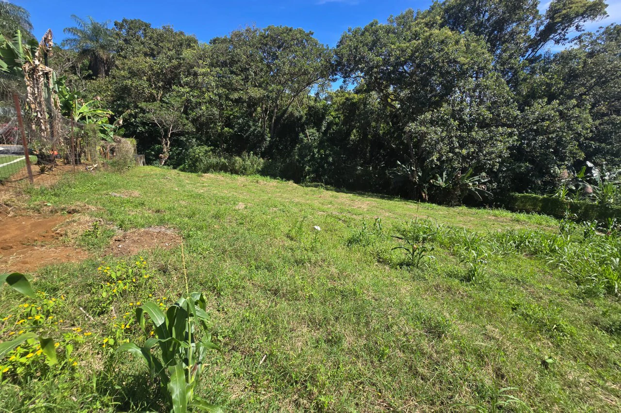 Land for sale in Tambor, Alajuela - Gallery image 10