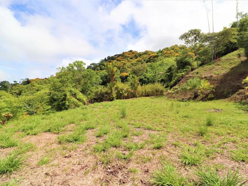 Captivating 3.15-Acre Property: Huge Pricedrop! Firesale Oceanview Lot in Tres Rios - Gallery image 40