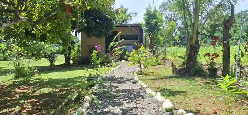 Versatile Commercial Property with Excellent Expansion Potential Quepos - Gallery image 20