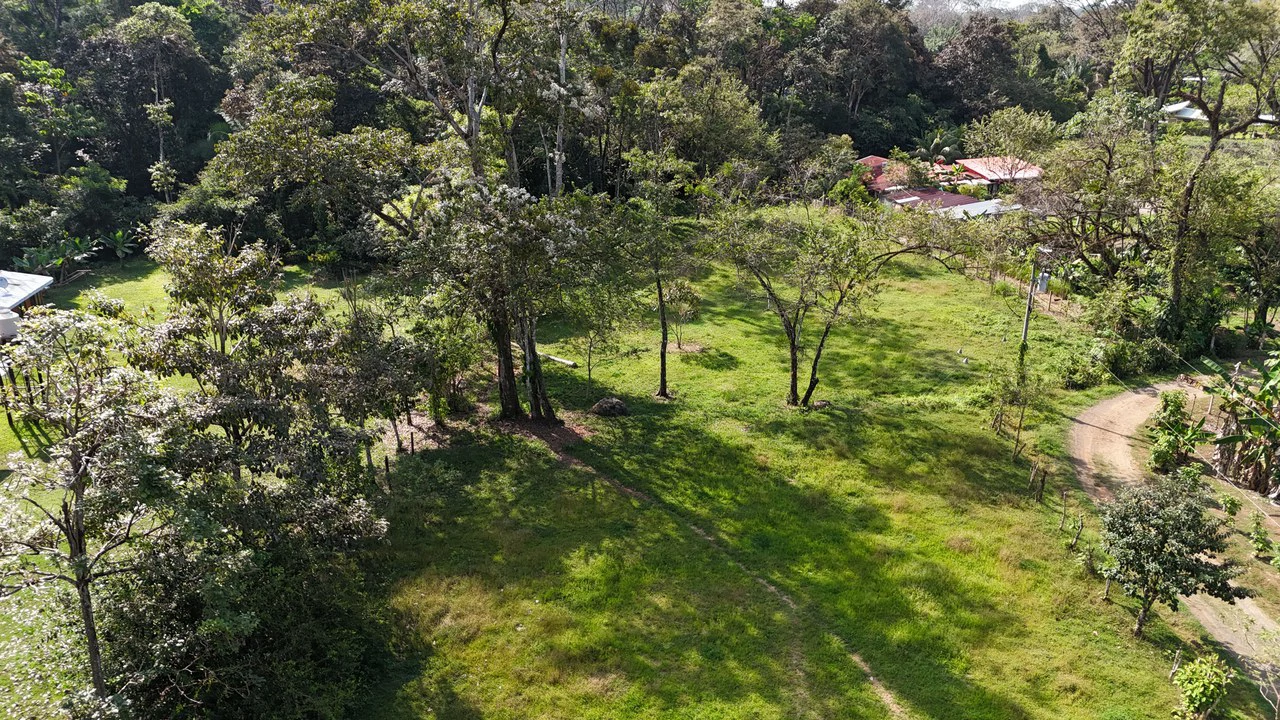 Prime Riverfront Property in Hatillo - Gallery image 5