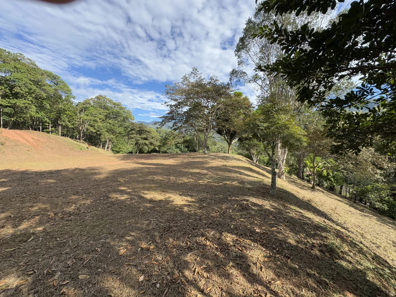 Stunning 2.4 Acre Property in Quebradas San Isidro del General - Gallery image 16