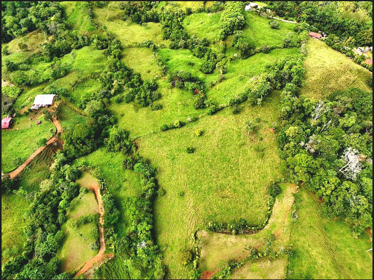 Mountain Home Construction Site For Sale in Miravalles - photo 3