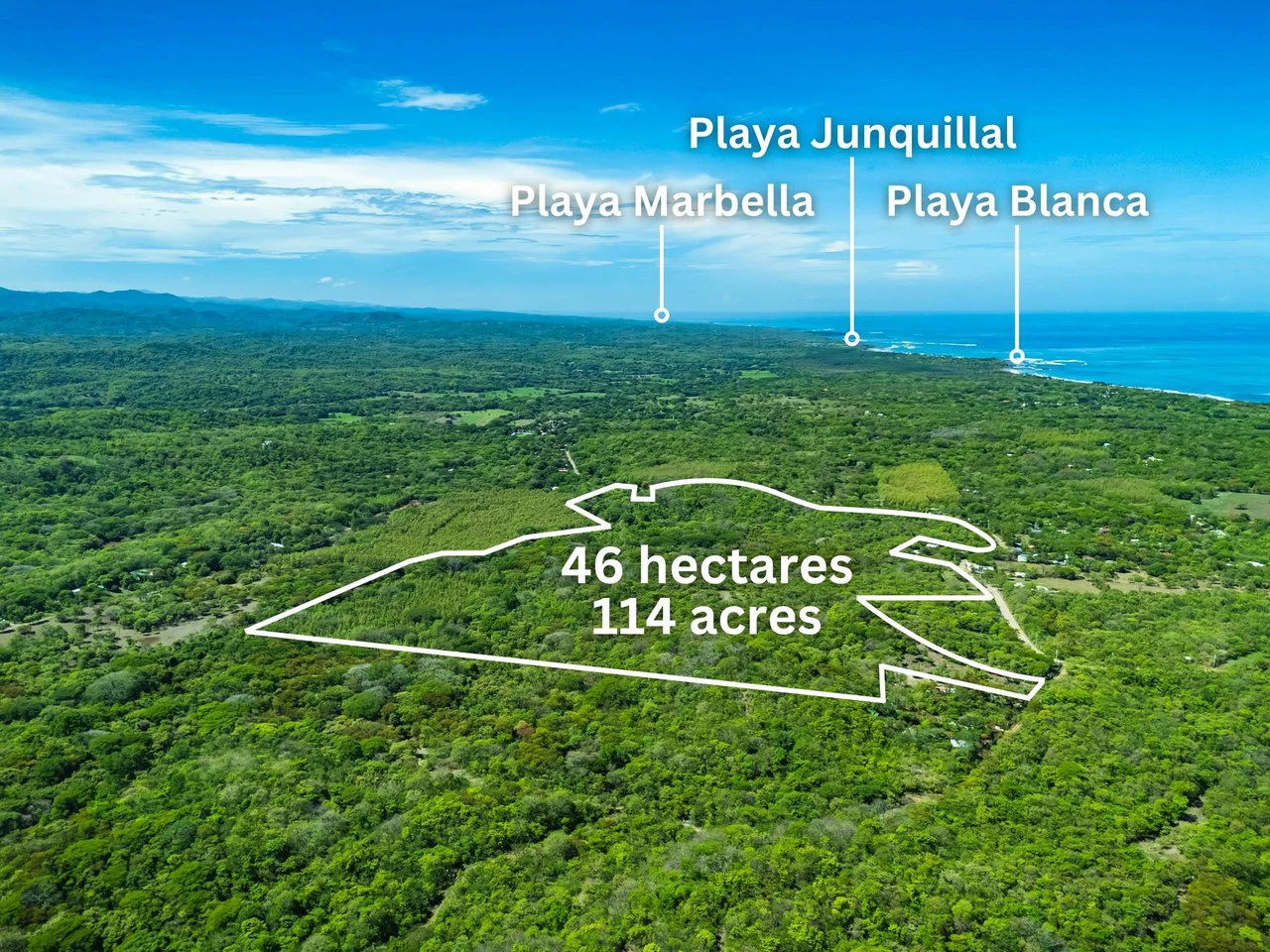 Finca 46Ha: Private Sanctuary with River and Forest - Gallery image 3
