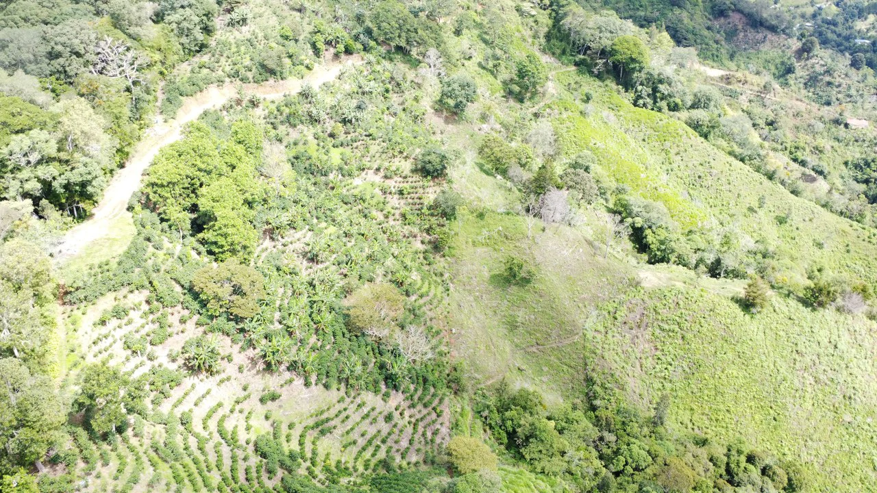 LOTE EN HERRADURA RIVAS.: Mountain Agricultural Land For Sale in San Isidro del General - Gallery image 8