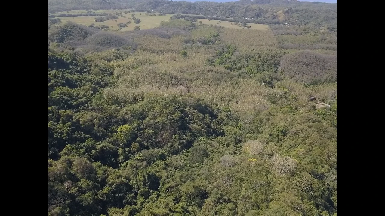 Finca Nora - Your Exclusive Tropical Paradise near Barrigona and Samara beach: Mountain Home Construction Site For Sale in Playa Samara - Gallery image 12