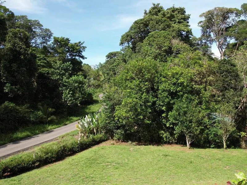 69.16 Acres Property | Mountain & Top Ocean View with Small Home - Gallery image 18