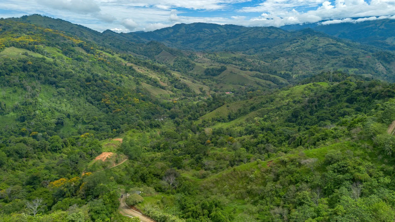 60+ Hectares in Platanillo | Own Your Own Mountain in Costa Rica - Gallery image 23