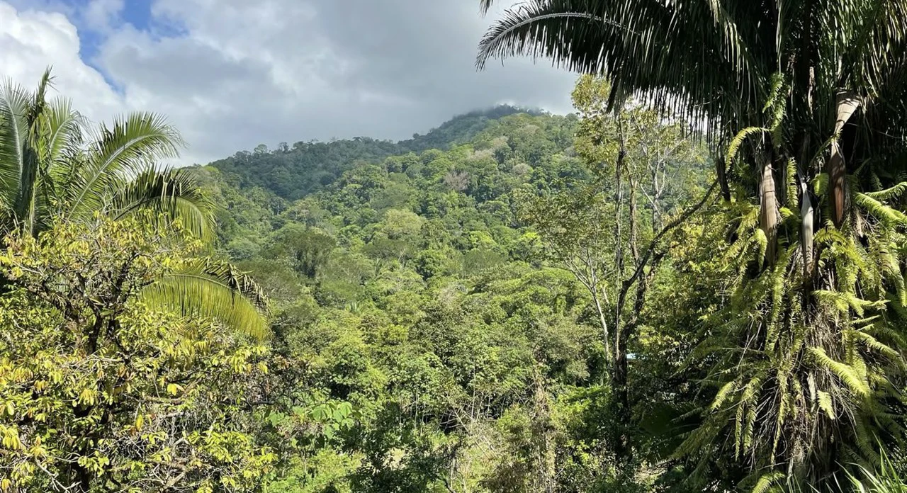 Exclusive Hermosa 1.2 Acre Lot with Panoramic Mountains and Ocean View. - Gallery image 5