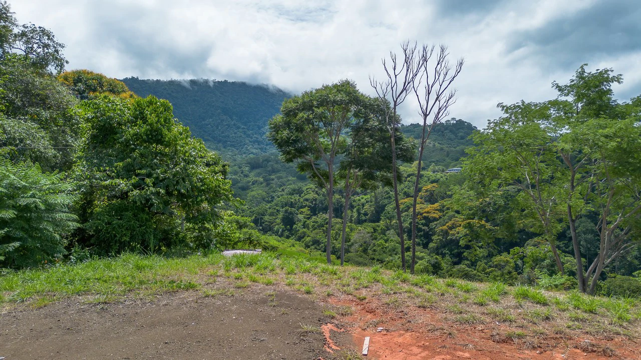 Luxury Ocean View Lot in Piñuelas - Premier Building Site - Gallery image 15