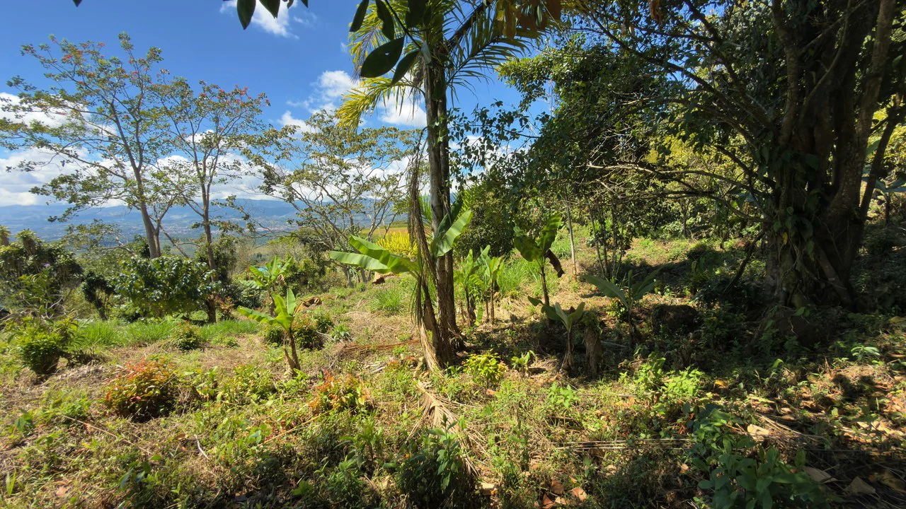 SE VENDE LOTE DE 1066M2, UBICADO EN MIRAVALLES, PEREZ ZELEDON.: Home Construction Site For Sale in Miravalles - Gallery image 5