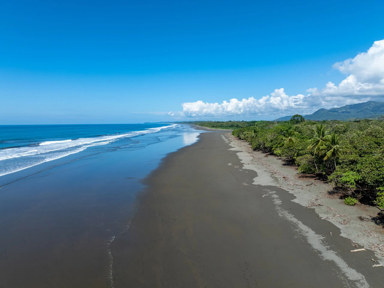 Exclusive Beachfront Opportunity south of Manuel Antonio Costa Rica - Gallery image 8