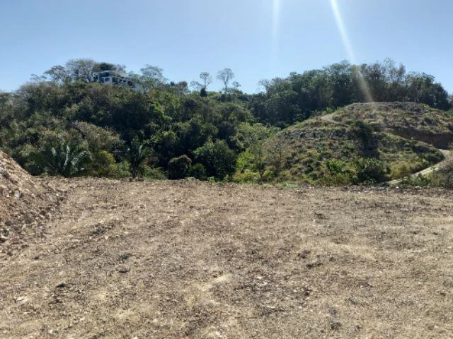Building Lots for sale in a pristine and peacefull woodland 3 km from Samara Beach - Gallery image 3