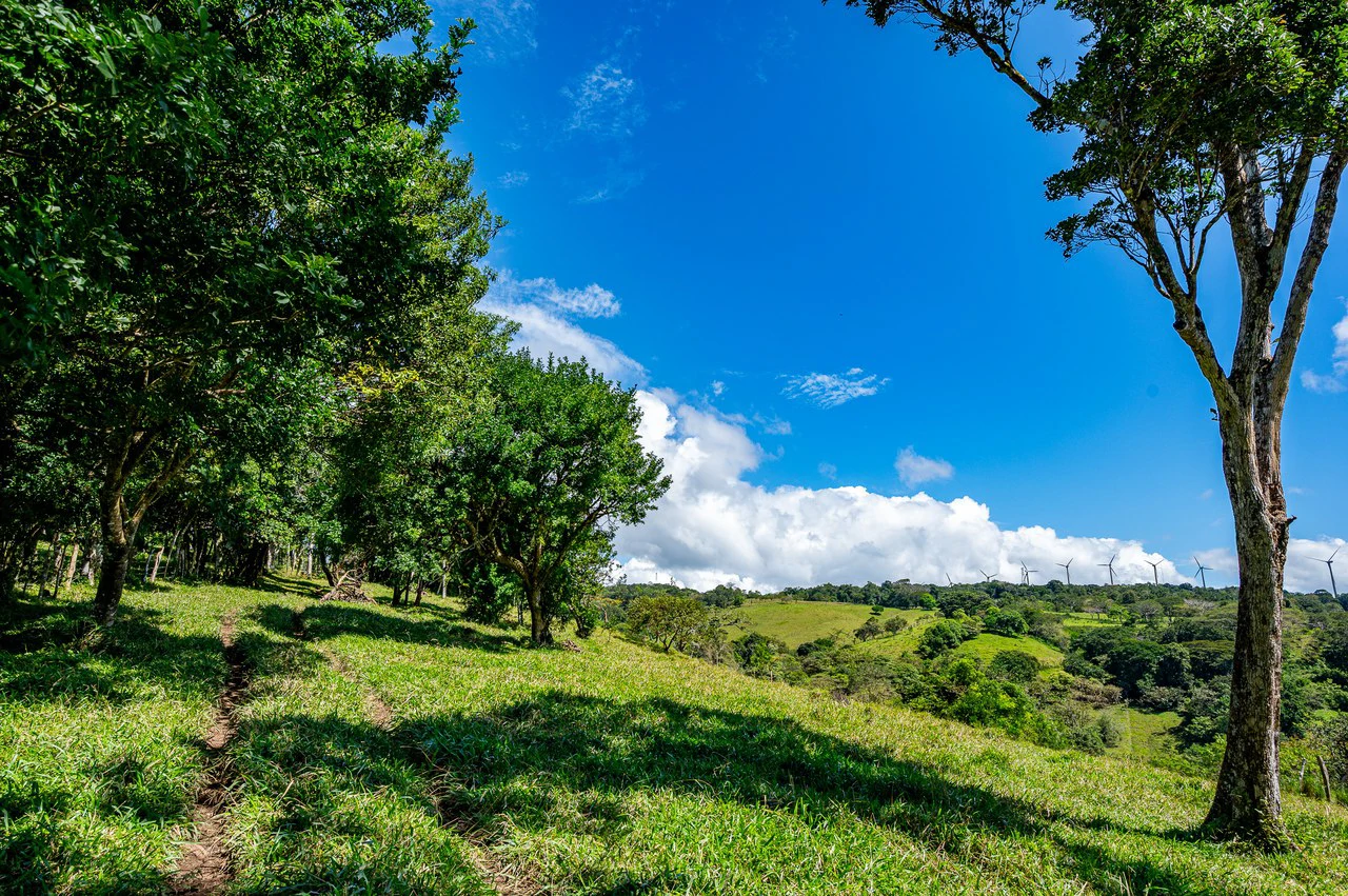LA CABAÑA - COUNTRY ESTATE WITH HUGE POTENTIAL - Gallery image 34