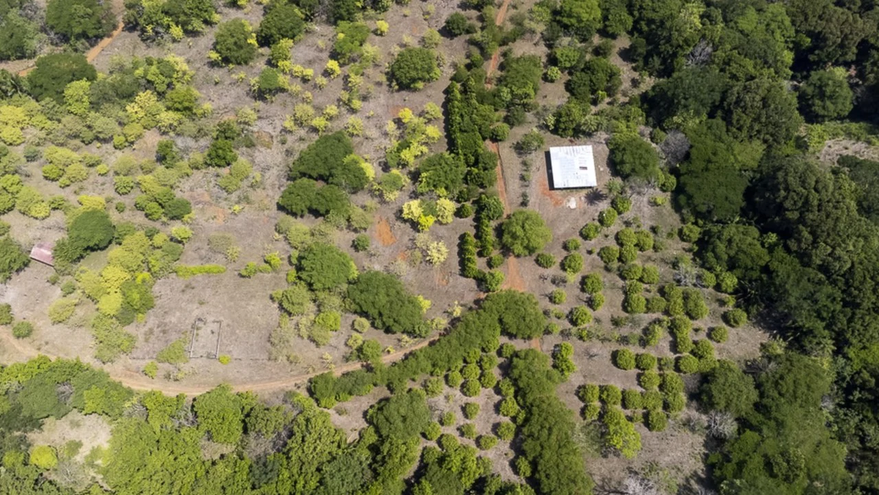 Farm for sale in Puntarenas Lepanto Costa Rica - Gallery image 4