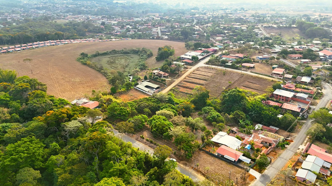 FRUIT TREE PROPERTY FOR SALE: Home Construction Site For Sale in San Isidro del General - Gallery image 4