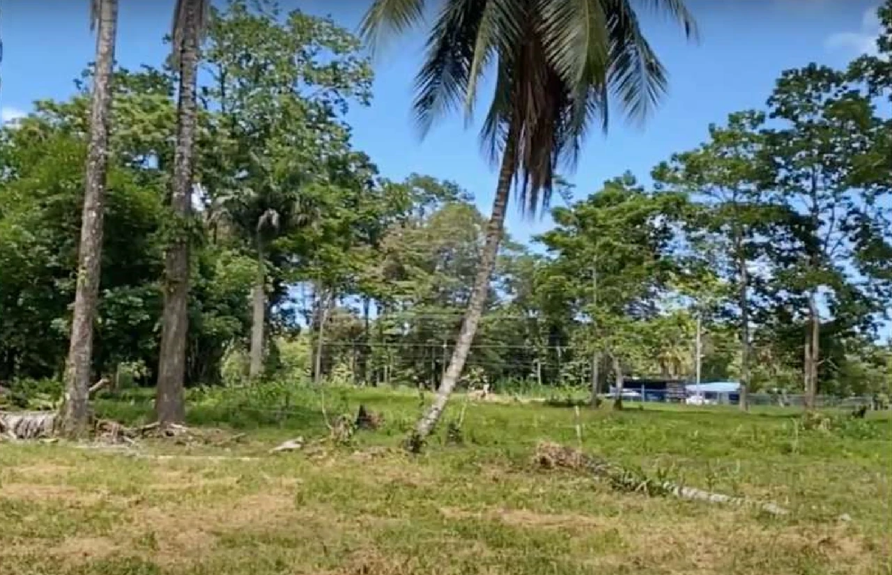 Westfalia, Matama: Countryside and Near the Coast Home Construction Site For Sale in Beverley - Gallery image 6